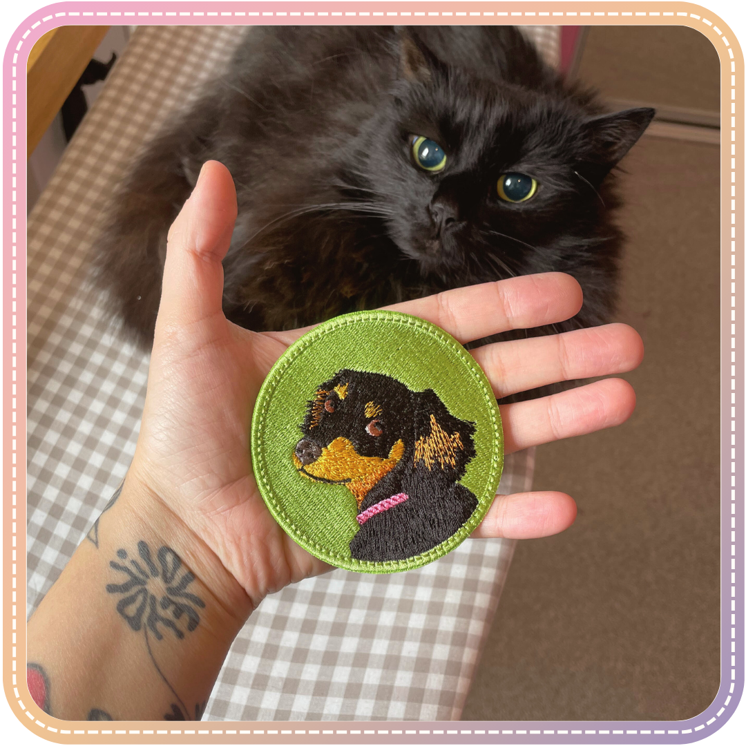 dachshund patch on green background with cat in the back