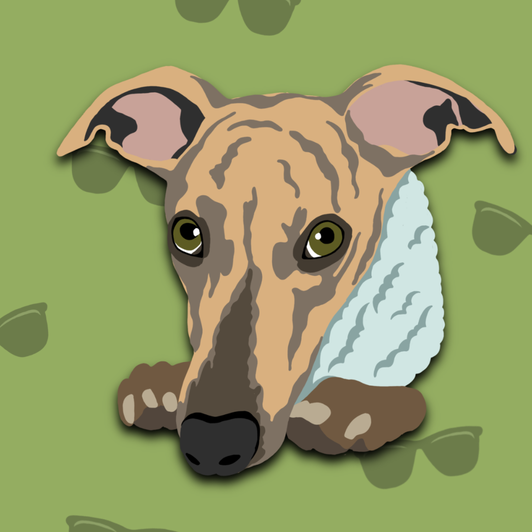 digital art of the Whippet Kemba, a fur ambassador
