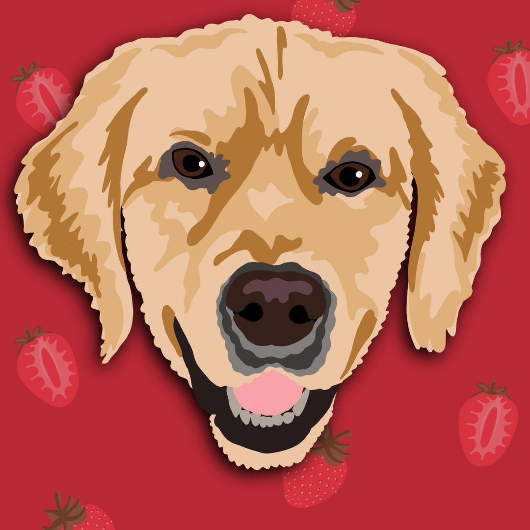 digital art of Kobe the Golden Retriever, a fur ambassador