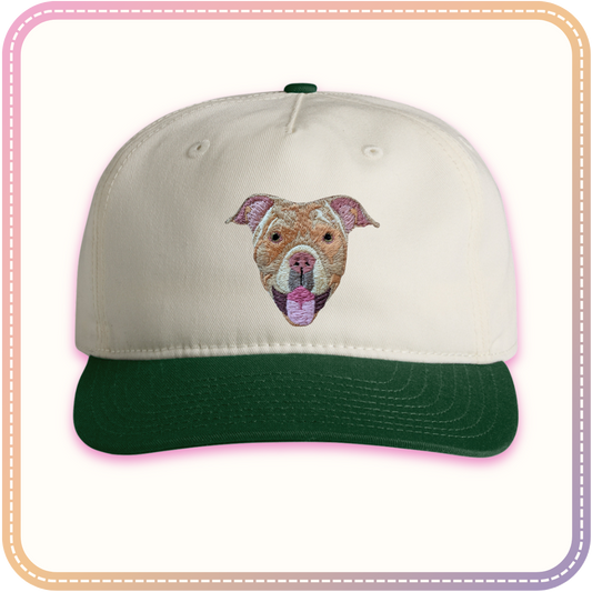 Your Pet Cap 🐍